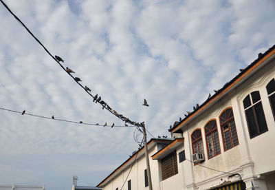 Low angle view of birds perching on cable against sky