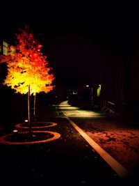 Illuminated street lights at night