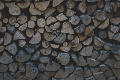 Full frame shot of logs in forest