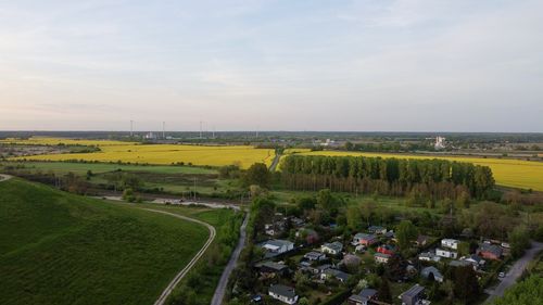 Scenic view of agricultural field against sky