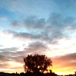 Low angle view of cloudy sky at sunset