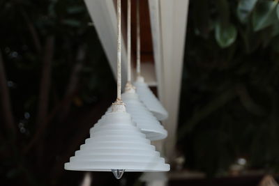 Close-up of white flower hanging from tree