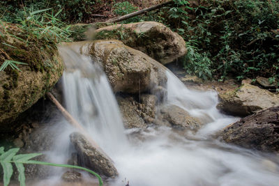 View of waterfall in forest