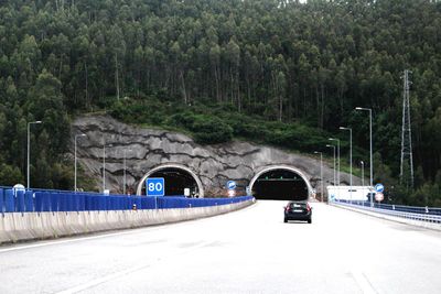 Road amidst trees against mountain
