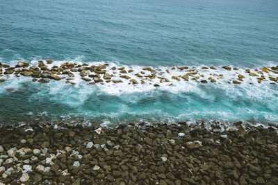 Scenic view of sea shore