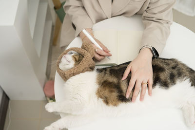 Asian business and writer woman smile and happy during play with her cat during work at home