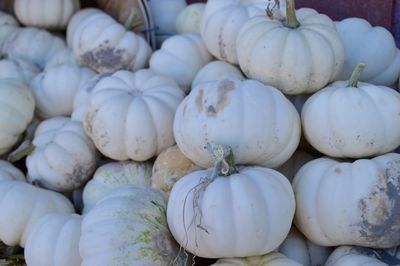 Full frame shot of onions for sale at market stall