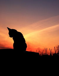 Silhouette horse against sky during sunset