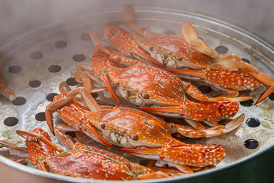 High angle view of food in plate