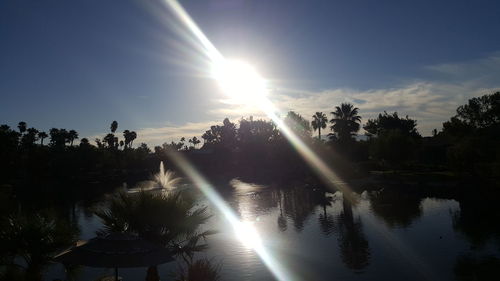 Low angle view of trees against sky