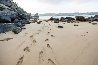 Rocks on beach against sky