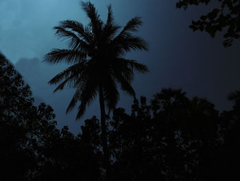 Low angle view of silhouette trees against sky