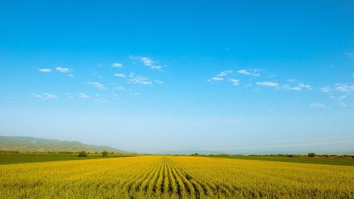 Scenic view of field against cloudy sky