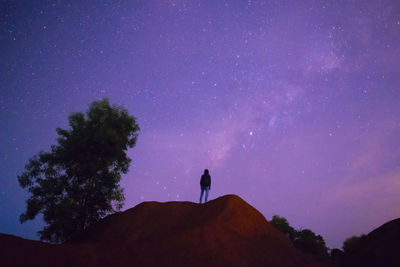 Low angle view of silhouette trees against sky at night