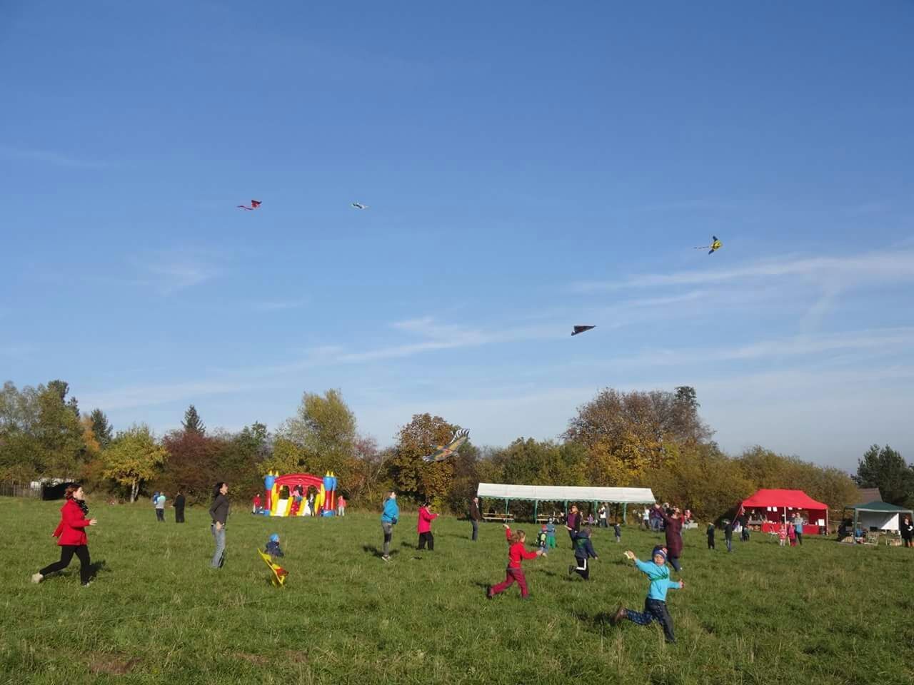 flying, leisure activity, mid-air, large group of people, lifestyles, grass, men, sky, sport, parachute, enjoyment, fun, person, landscape, tree, field, paragliding, kite, blue