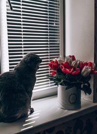 Flower vase on table by window