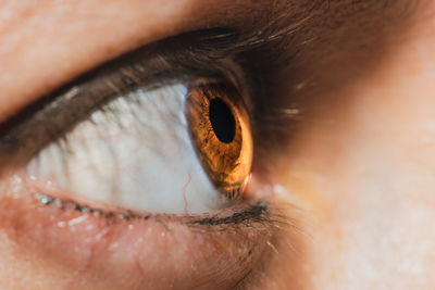 Extreme close-up of human eye