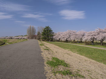 Road by trees against sky