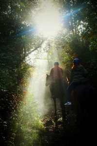 Rear view of people walking on land in forest