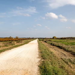Landscape and country road