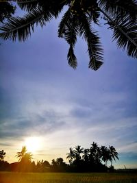 Silhouette palm trees against sky during sunset