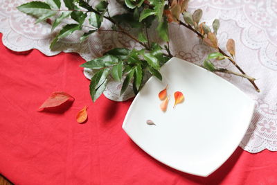 High angle view of rose in plate on table