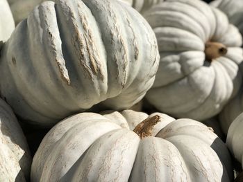 Close-up of pumpkins for sale at market