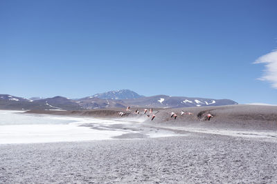 Scenic view of mountains against clear sky during winter