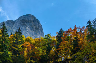 Trees on mountain against sky during autumn