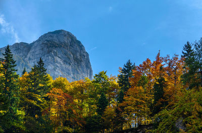 Trees on mountain against sky during autumn
