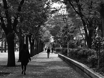 Rear view of people walking on trees