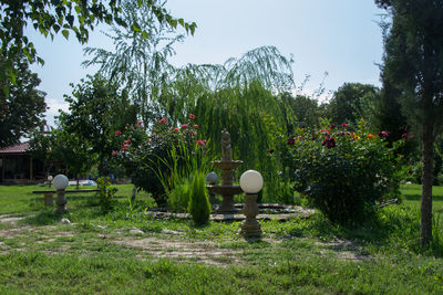 Scenic view of park against sky