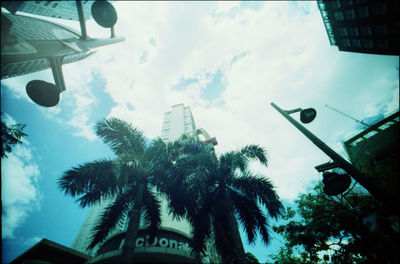 Low angle view of palm trees and buildings against sky