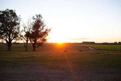 Scenic view of field against clear sky during sunset