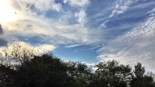 Low angle view of trees against cloudy sky