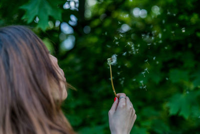 Close-up of woman blowing dandelion seeds