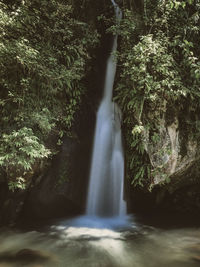 Scenic view of waterfall in forest