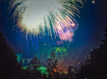 Low angle view of firework display against sky at night