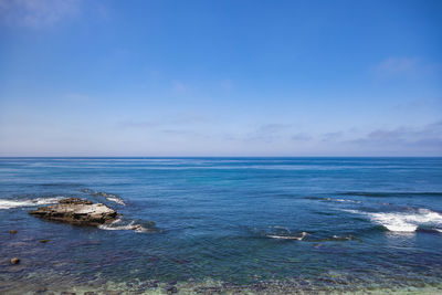 Cormorants gather on a rock on the pacific ocean at la jolla in san diego, california