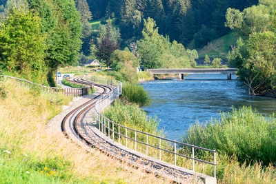 Scenic view of bridge over river in forest