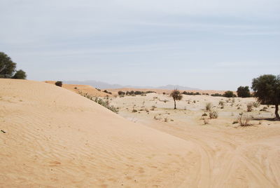 Another desert shot but this time add some trees