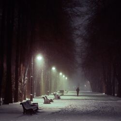 Man on snow covered trees at night