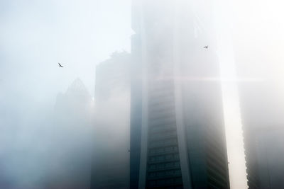 Low angle view of bird flying over buildings