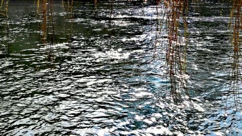 Full frame shot of rippled water in lake