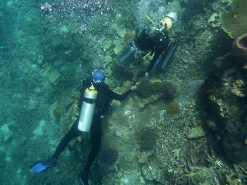 High angle view of underwater