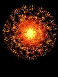 Low angle view of firework display at night
