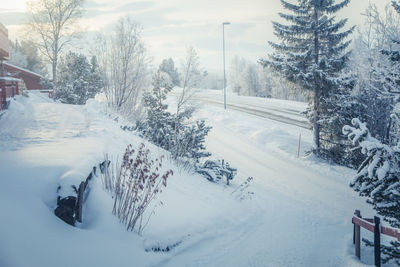 Snow covered land and trees during winter