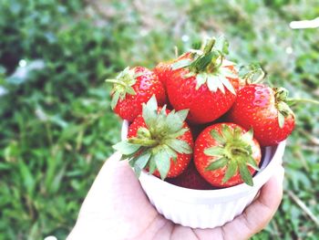 Close-up of hand holding strawberry