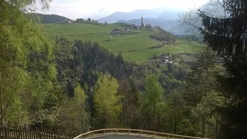 Scenic view of agricultural field