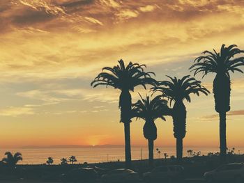 Silhouette palm trees on beach against sky during sunset